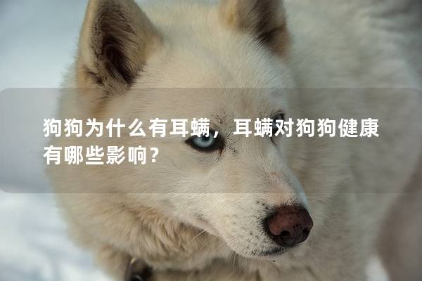 狗狗為什么有耳螨，耳螨對狗狗健康有哪些影響？