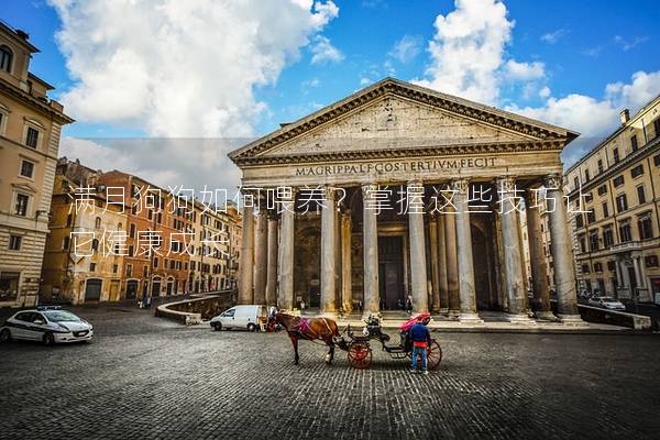 滿月狗狗如何喂養？掌握這些技巧讓它健康成長