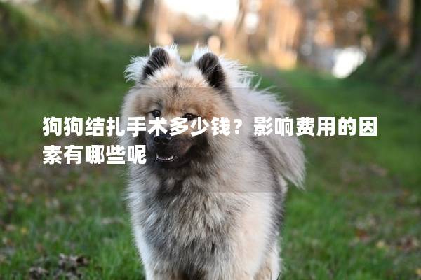 狗狗結(jié)扎手術(shù)多少錢？影響費用的因素有哪些呢