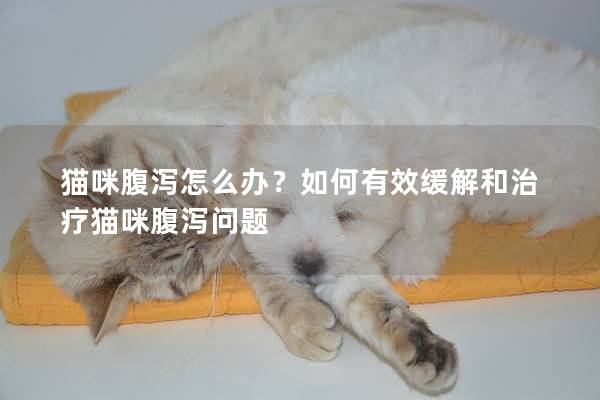 貓咪腹瀉怎么辦？如何有效緩解和治療貓咪腹瀉問題