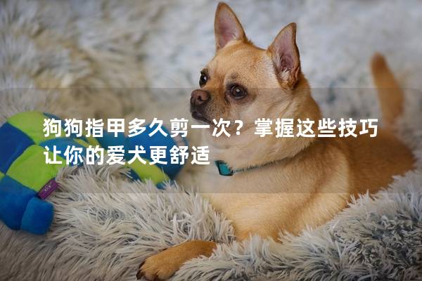 狗狗指甲多久剪一次？掌握這些技巧讓你的愛犬更舒適