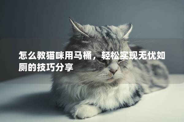 怎么教貓咪用馬桶，輕松實現無憂如廁的技巧分享