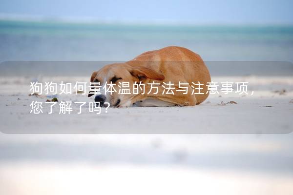 狗狗如何量體溫的方法與注意事項,您了解了嗎? 狗狗如何量體溫的方法與注意事項,您了解了嗎?