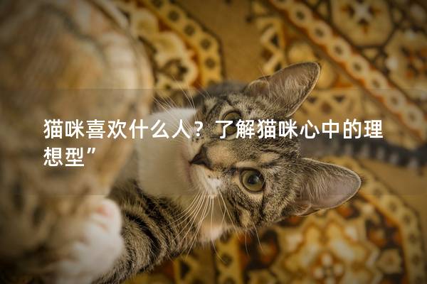貓咪喜歡什么人？了解貓咪心中的理想型”