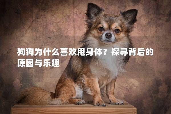 狗狗為什么喜歡甩身體？探尋背后的原因與樂趣