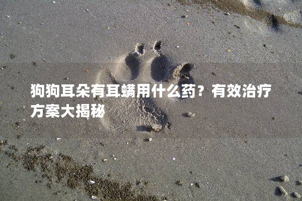 狗狗耳朵有耳螨用什么藥？有效治療方案大揭秘