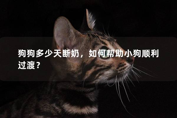 狗狗多少天斷奶,如何幫助小狗順利過渡? 狗狗多少天斷奶,如何幫助小狗順利過渡?