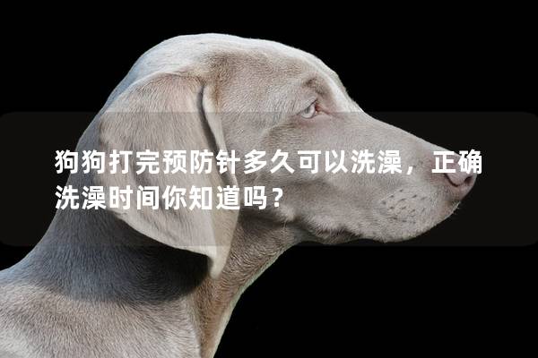 狗狗打完預防針多久可以洗澡，正確洗澡時間你知道嗎？