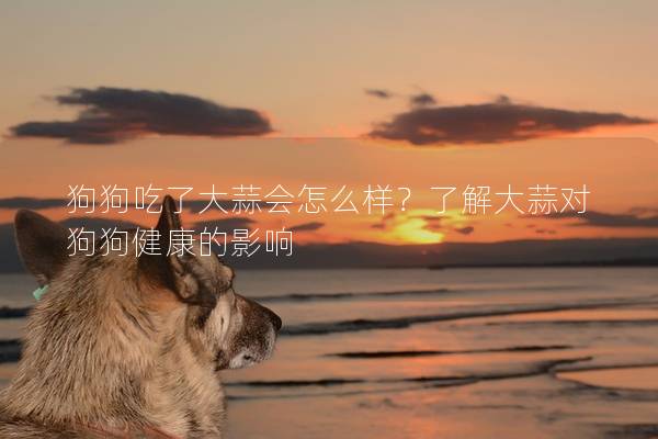 狗狗吃了大蒜會怎么樣？了解大蒜對狗狗健康的影響