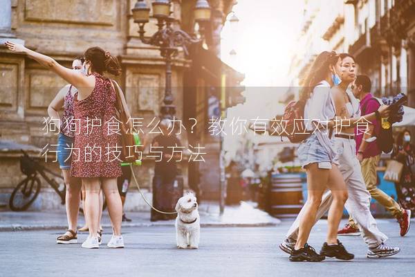 狗狗護食怎么辦？教你有效應對護食行為的技巧與方法