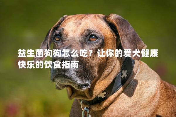 益生菌狗狗怎么吃？讓你的愛犬健康快樂的飲食指南
