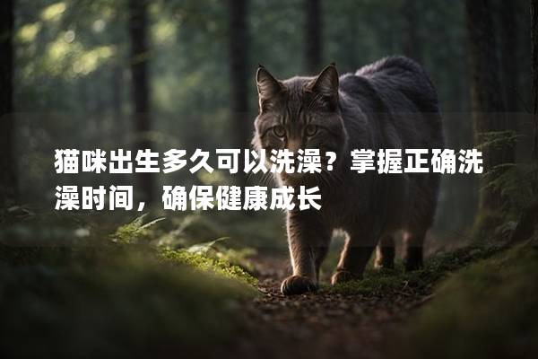 貓咪出生多久可以洗澡？掌握正確洗澡時間，確保健康成長