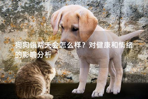 狗狗餓兩天會怎么樣？對健康和情緒的影響分析