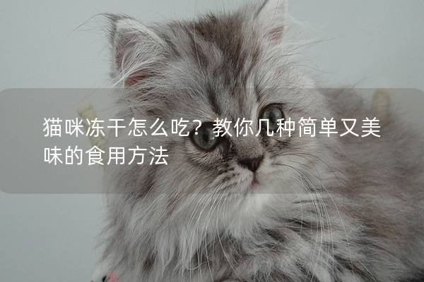 貓咪凍干怎么吃？教你幾種簡(jiǎn)單又美味的食用方法