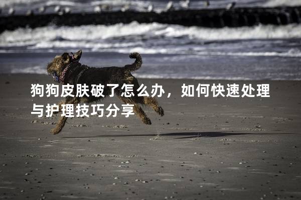 狗狗皮膚破了怎么辦，如何快速處理與護理技巧分享