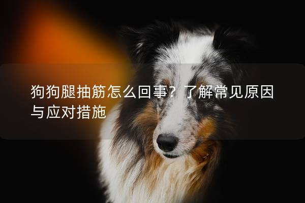 狗狗腿抽筋怎么回事？了解常見原因與應對措施