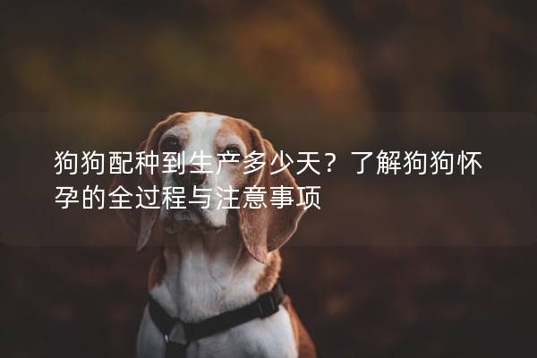 狗狗配種到生產(chǎn)多少天?了解狗狗懷孕的全過程與注意事項 狗狗配種到生產(chǎn)多少天?了解狗狗懷孕的全過程與注意事項