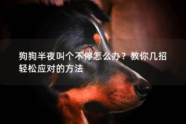 狗狗半夜叫個不停怎么辦？教你幾招輕松應對的方法