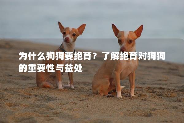 為什么狗狗要絕育？了解絕育對狗狗的重要性與益處