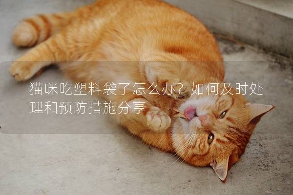 貓咪吃塑料袋了怎么辦？如何及時處理和預防措施分享