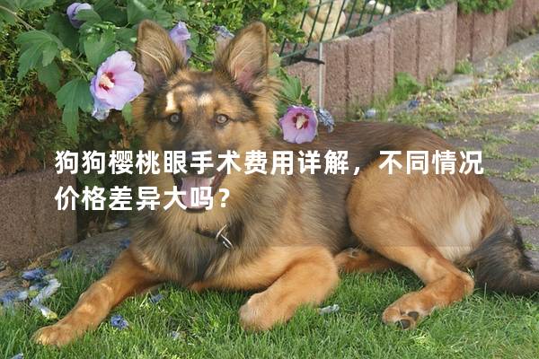 狗狗櫻桃眼手術費用詳解，不同情況價格差異大嗎？