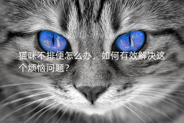 貓咪不排便怎么辦，如何有效解決這個(gè)煩惱問(wèn)題？
