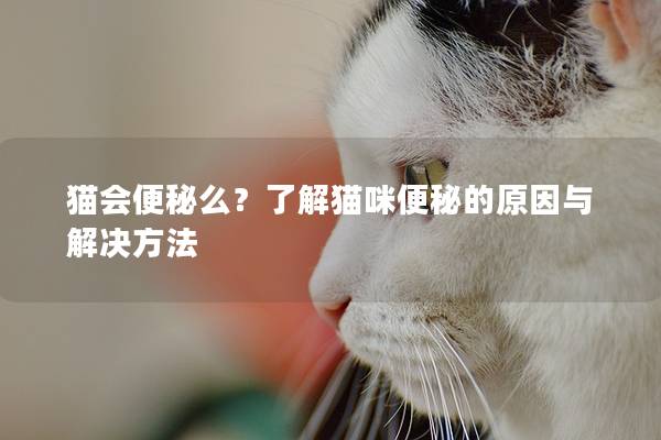 貓會便秘么?了解貓咪便秘的原因與解決方法 貓會便秘么?了解貓咪便秘的原因與解決方法