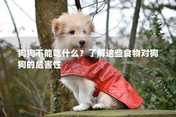 狗狗不能吃什么？了解這些食物對狗狗的危害性