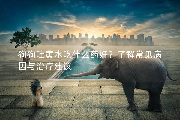 狗狗吐黃水吃什么藥好？了解常見(jiàn)病因與治療建議