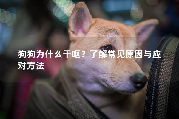 狗狗為什么干嘔？了解常見原因與應對方法