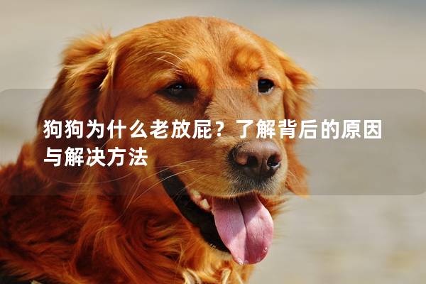 狗狗為什么老放屁？了解背后的原因與解決方法