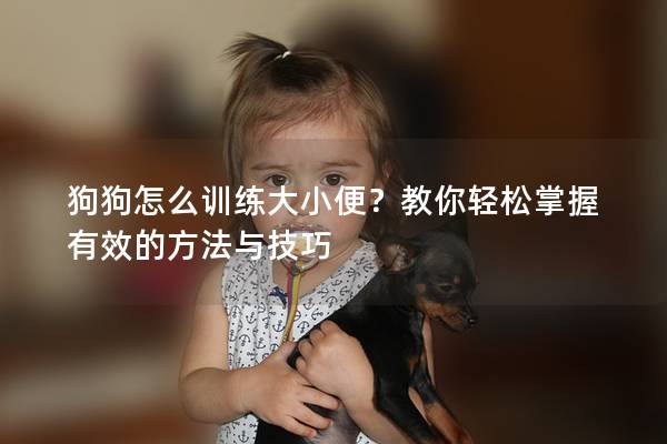 狗狗怎么訓(xùn)練大小便？教你輕松掌握有效的方法與技巧