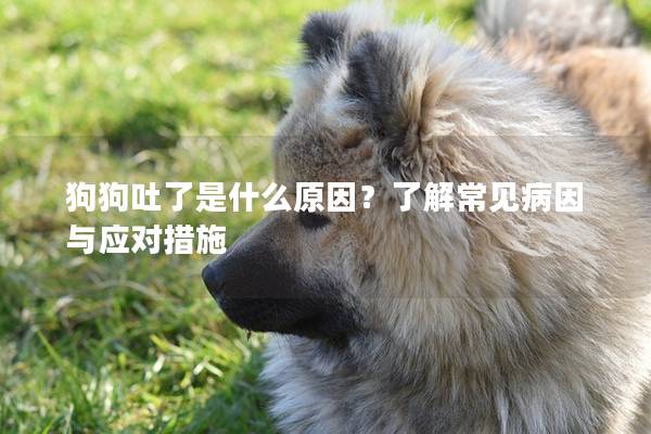 狗狗吐了是什么原因？了解常見病因與應對措施