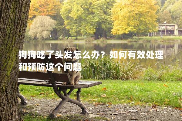 狗狗吃了頭發怎么辦？如何有效處理和預防這個問題