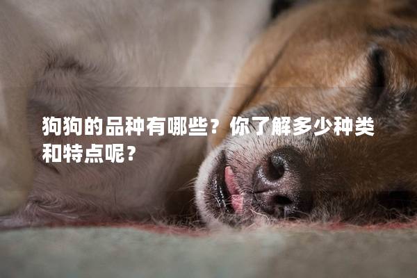 狗狗的品種有哪些？你了解多少種類和特點呢？
