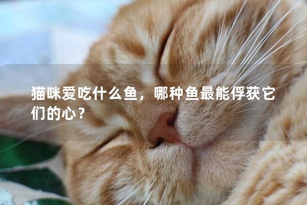 貓咪愛吃什么魚,哪種魚最能俘獲它們的心? 貓咪愛吃什么魚,哪種魚最能俘獲它們的心?