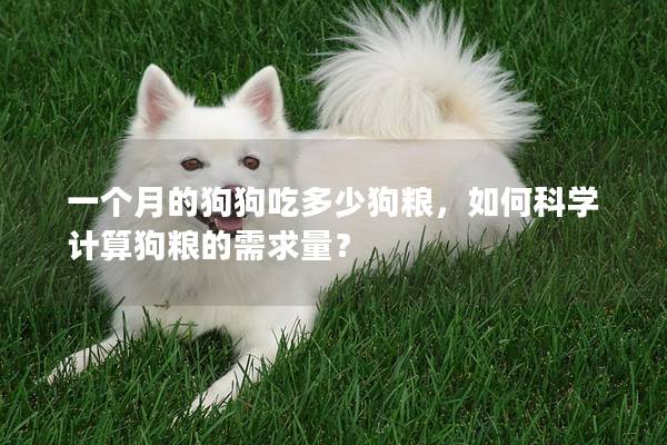 一個月的狗狗吃多少狗糧，如何科學計算狗糧的需求量？