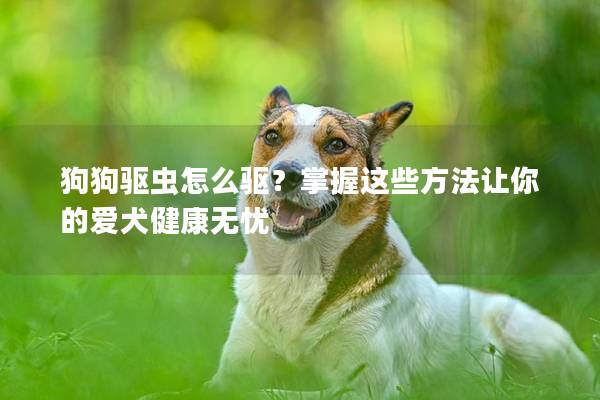 狗狗驅(qū)蟲怎么驅(qū)？掌握這些方法讓你的愛犬健康無憂