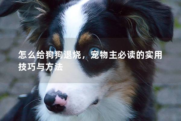怎么給狗狗退燒，寵物主必讀的實用技巧與方法