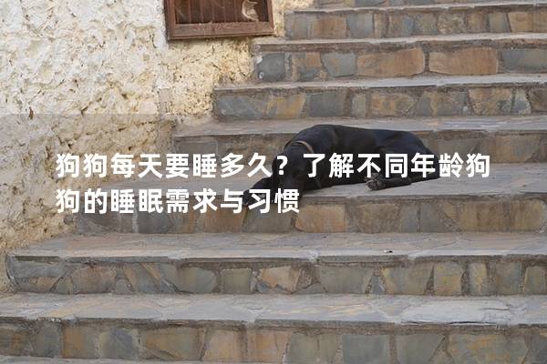 狗狗每天要睡多久？了解不同年齡狗狗的睡眠需求與習慣