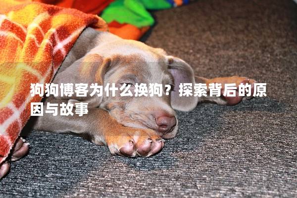 狗狗博客為什么換狗？探索背后的原因與故事