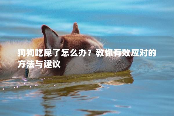 狗狗吃屎了怎么辦？教你有效應對的方法與建議