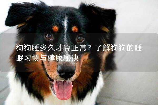 狗狗睡多久才算正常?了解狗狗的睡眠習慣與健康秘訣 狗狗睡多久才算正常?了解狗狗的睡眠習慣與健康秘訣