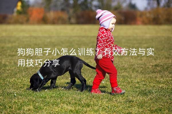 狗狗膽子小怎么訓練？有效方法與實用技巧分享
