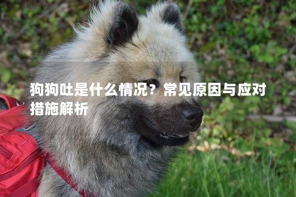 狗狗吐是什么情況？常見原因與應對措施解析