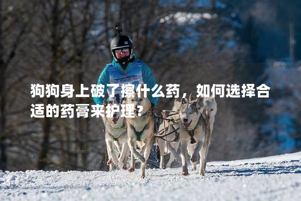狗狗身上破了擦什么藥，如何選擇合適的藥膏來護(hù)理？