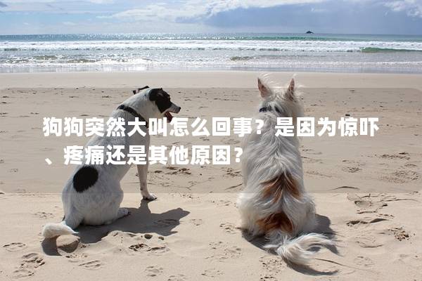 狗狗突然大叫怎么回事？是因為驚嚇、疼痛還是其他原因？