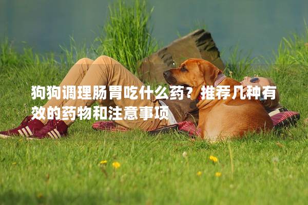 狗狗調(diào)理腸胃吃什么藥？推薦幾種有效的藥物和注意事項
