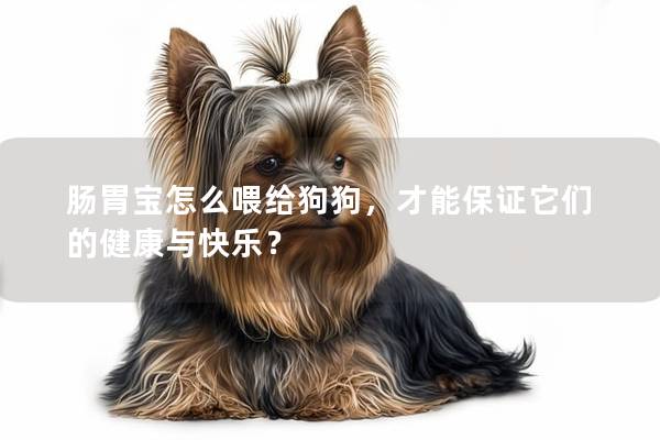 腸胃寶怎么喂給狗狗，才能保證它們的健康與快樂(lè)？