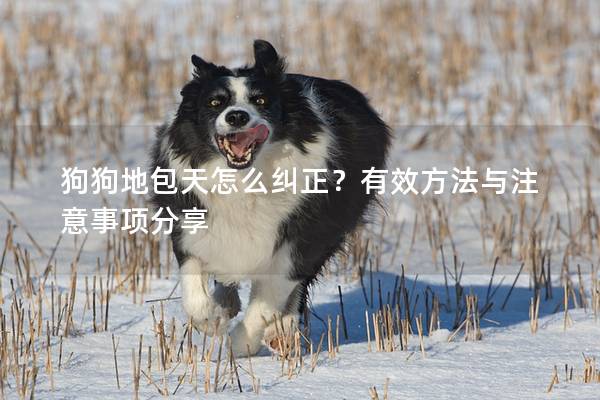 狗狗地包天怎么糾正？有效方法與注意事項分享